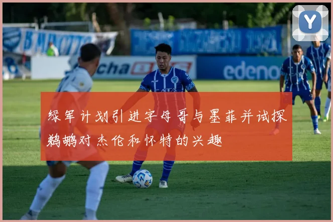 绿军计划引进字母哥与墨菲并试探鹈鹕对杰伦和怀特的兴趣