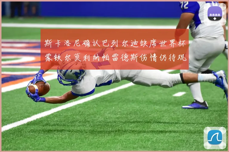 斯卡洛尼确认巴列尔迪缺席世界杯蒙铁尔莫利纳帕雷德斯伤情仍待观察