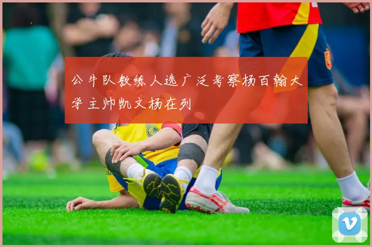 公牛队教练人选广泛考察杨百翰大学主帅凯文杨在列